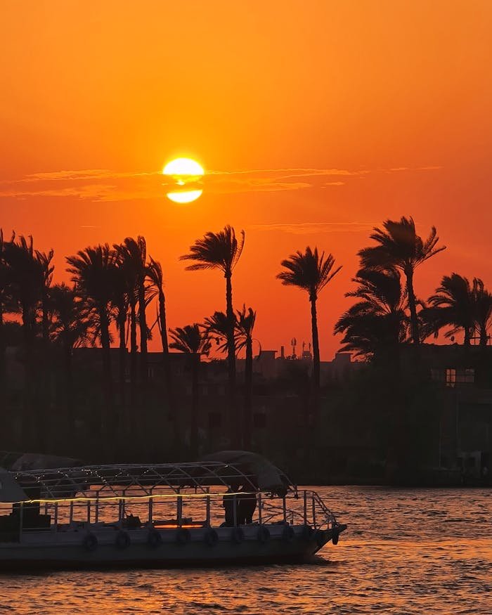 Silhouetted palms frame a stunning sunset over the Nile in Cairo, Egypt.