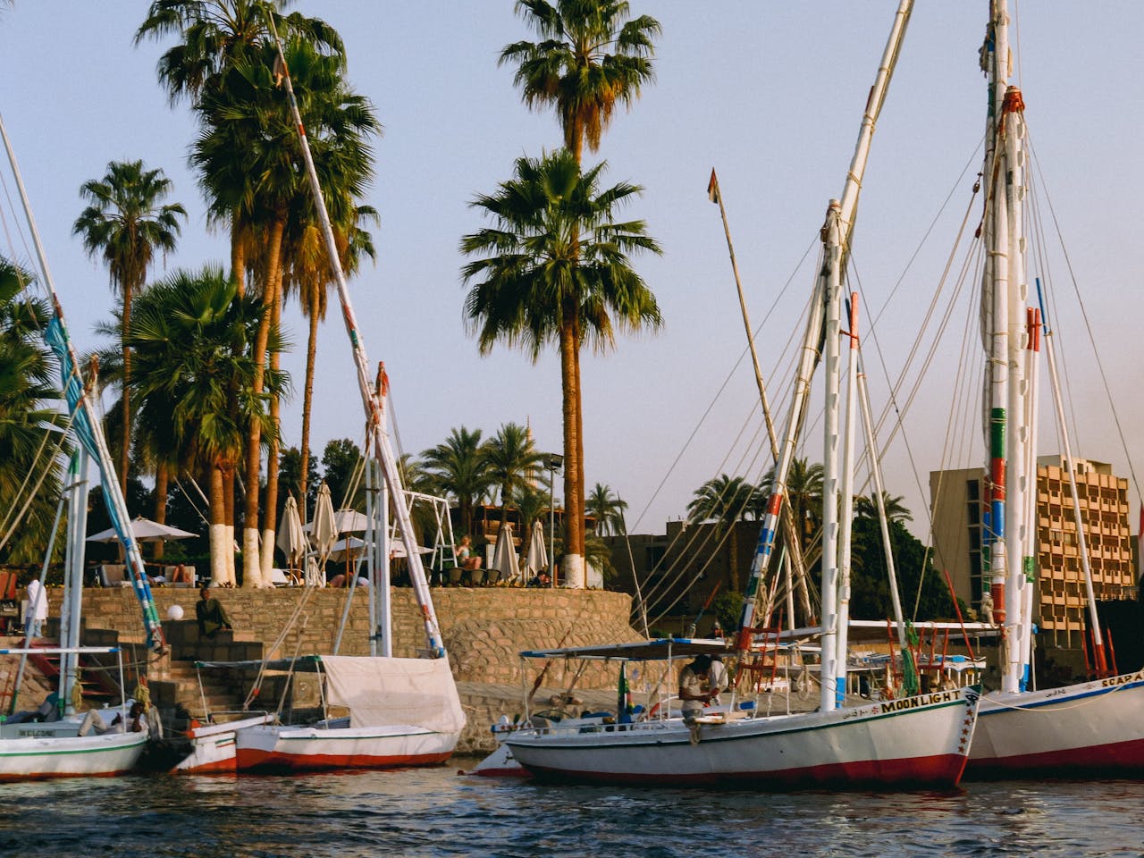 Scenic view of sailboats and palm trees by the Nile River at sunset, complementing the serene Egyptian landscape.