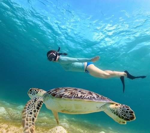 Abu Dabbab Bay Snorkeling Trip from Hurghada