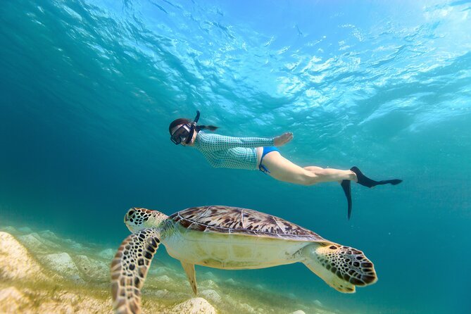 Abu Dabbab Bay Snorkeling Trip from Hurghada