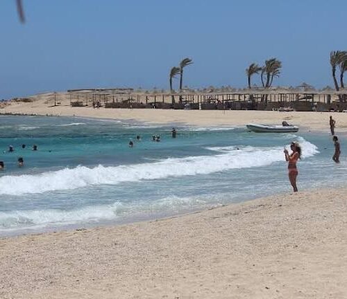 Abu Dabbab Bay Snorkeling Trip from Hurghada