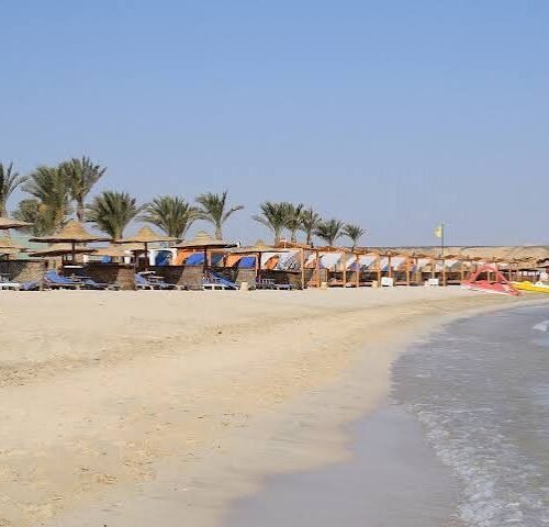 Abu Dabbab Bay Snorkeling Trip from Hurghada