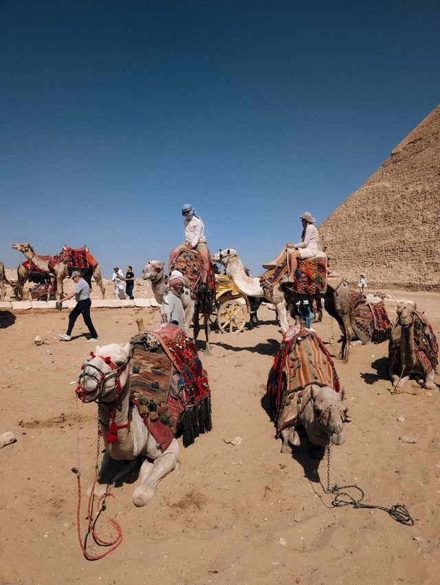 giza-pyramids-with-camels